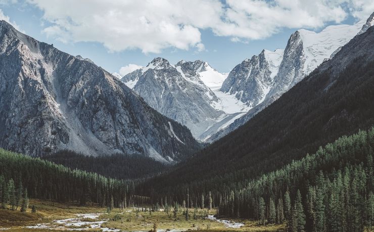 移民缅甸中介公司